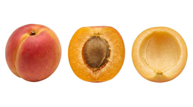 Fresh organic apricot set, whole fruit with sliced halves and seed pit, ripe orange apricots isolated on white background for food packaging