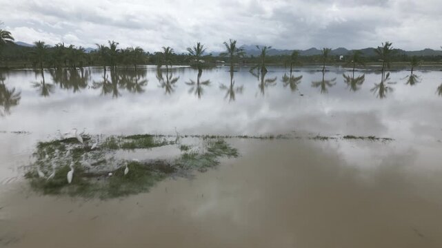 Extensive Flooding Across Farmland In Aftermath Of Tropical Cyclone