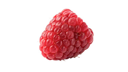 Single large fresh organic raspberry sweet wild berry isolated natural food product © Arthur