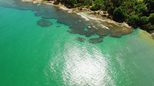Sunlit coral reef and turquoise bay border palm lined tropical coastline with Caribbean sea