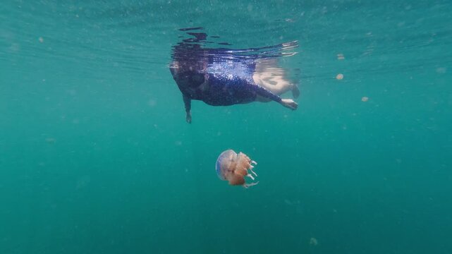 Woman snorkeling with stingless jellyfish in indonesia