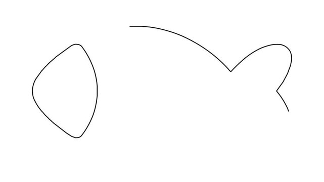 Minimalist continuous line art animation of simple fish drawing on clean white background.