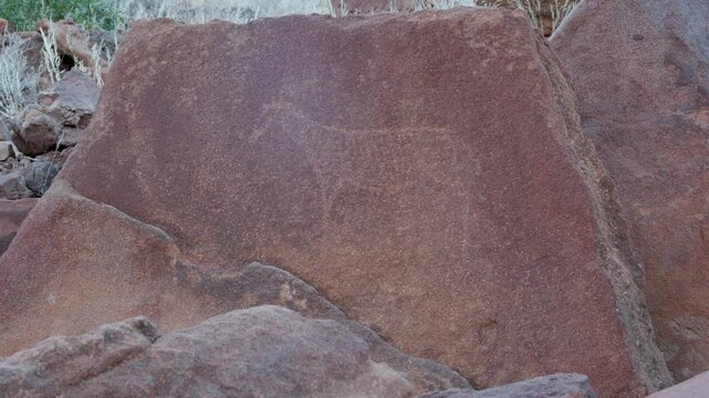 a pan of a petroglyph of a zebra on a rock wall at twyfelfontein in namibia, africa