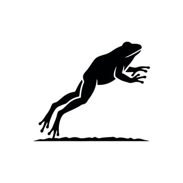 Dynamic Silhouette of a Leaping Frog in MidAir.