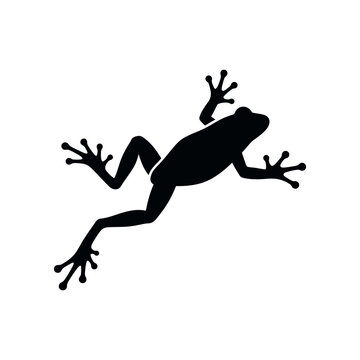 Silhouette of a frog in a jumping or crawling pose isolated on a white background.