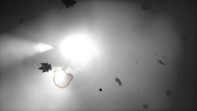 Glowing Halloween jack-o-lantern face in grey fog with falling autumn leaves silhouettes. Spooky pumpkin glow atmospheric horror holiday background. Seamless loop 3d rendering animation.