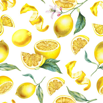 Lemon branch with leaves and flowers seamless pattern on a white background. Botanical illustration hand-drawn in watercolor. Tropical citrus fruits, juicy bright fruits for decorating postcards