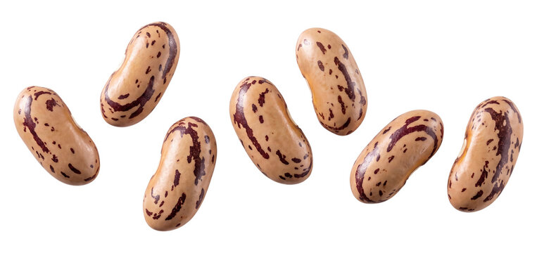 Falling pinto beans isolated on transparent background