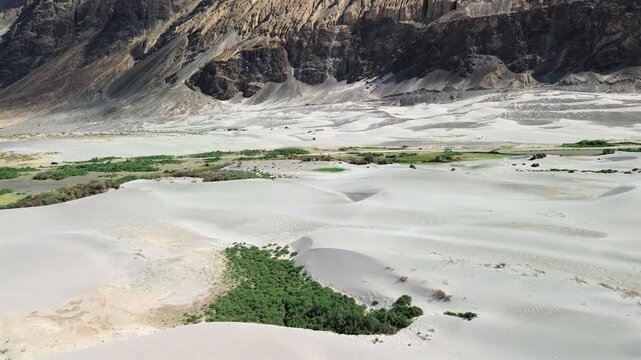 Wide aerial push in shot moving forward over white sand dunes with green bushes toward massive rocky mountain slopes in Hunder, Nubra Valley, Ladakh, India.