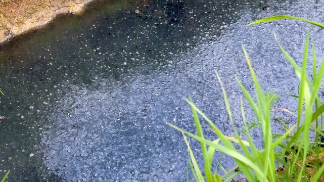 Dirty foam on polluted wastewater flowing into culvert pipe from ditch outdoors