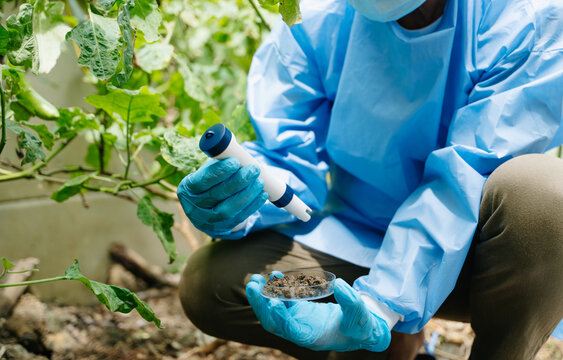 Agronomist in protective gear analyzing a soil sample in a petri dish using a digital pH meter. Smart agriculture, environmental research