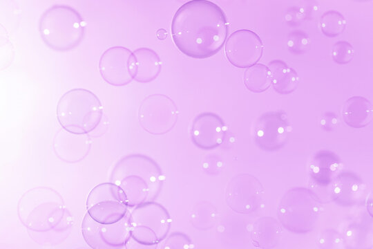 Beautiful Purple Soap Bubbles Floating in The Air. Purple, Blue and White Gradient Blurred Background. Celebration Festive Backdrop. Freshness Clear Soap Suds Bubbles Water.