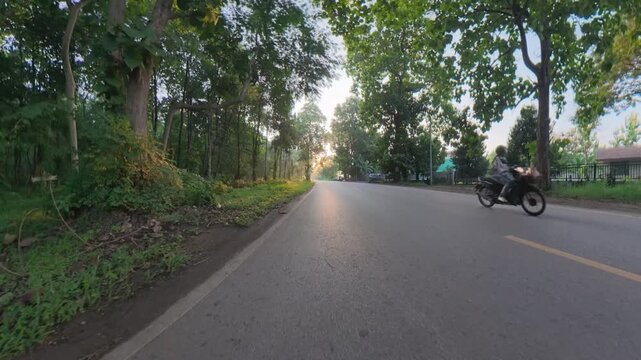 Scenic rural road surrounded by lush tropical trees and greenery, with warm sunrise light creating a peaceful morning atmosphere in the countryside.