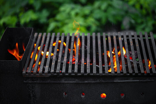 Outdoor barbecue grill with flames and glowing charcoal, surrounded by green foliage, ready for cooking in a backyard setting