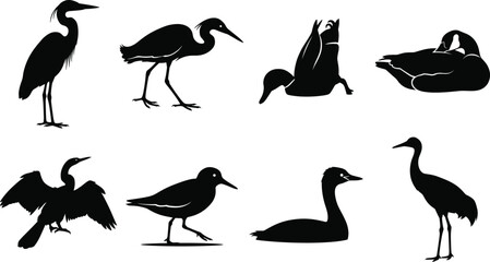 Obraz premium Collection of flat color non realistic water bird silhouettes including heron and duck for commercial wildlife design
