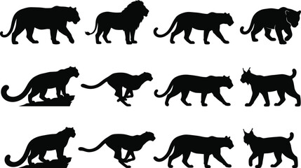 Obraz premium Collection of wild big cat animal silhouettes including lion tiger cheetah leopard and lynx for wildlife design projects