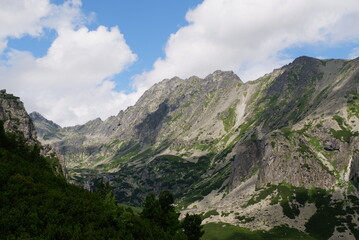 Fototapeta premium Scenic View of Green Alpine Slopes and Rocky Mountain Ridges in High Tatras Slovakia