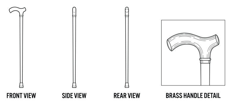 Wooden walking cane front side rear and brass handle detail vector flat illustration.
