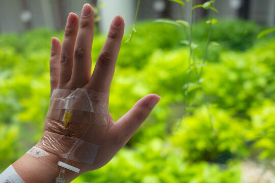 Patient hand with iv drip needle in hospital recovery room, touching window glass with hope and peaceful green nature view outside for healthcare medical treatment, wellness, and healing concept.