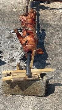whole suckling pig rotating on spit roast over hot charcoal cooking outdoors at a beach in Croatia