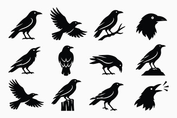 Obraz premium Collection of black bird silhouettes in various poses and actions.