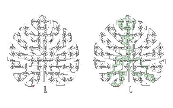Complex tropical monstera leaf labyrinth puzzle