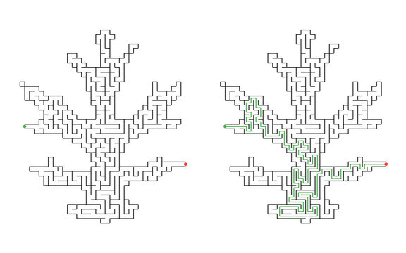 Solved maple leaf maze puzzle with solution path
