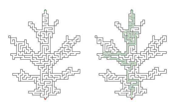 Maple leaf maze puzzle with start and finish points