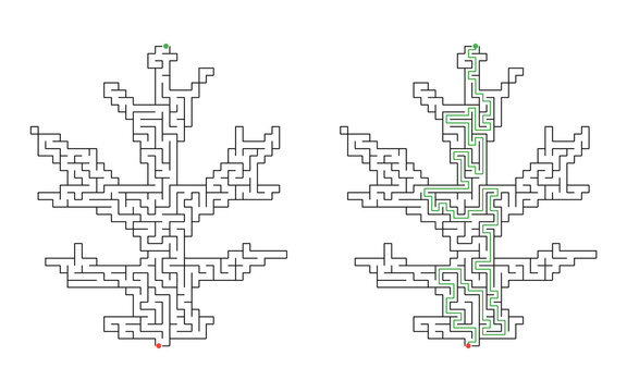 Maple leaf shaped maze puzzle with start and finish points
