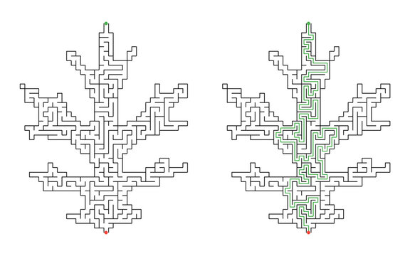 Solved leaf shaped maze puzzle with solution path