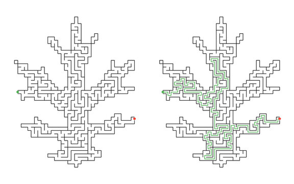 Leaf shaped maze puzzle with start and finish points