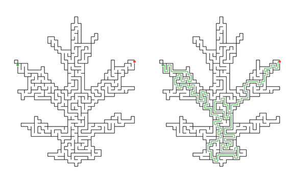 Solved leaf shaped maze puzzle with solution path