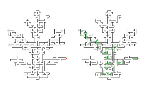 Leaf shaped maze puzzle with start and finish points