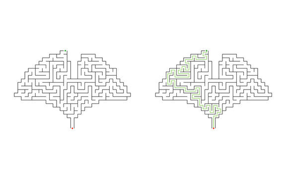 Solved Ginkgo biloba leaf shaped maze puzzle with green solution path