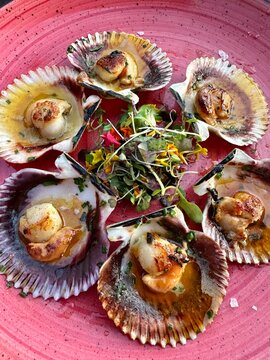 fresh seafood salad