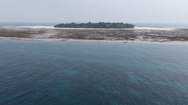 The remote Sangalaki Island is surrounded by a thriving coral reef in the scenic Derawan Archipelago of East Kalimantan, Indonesia. This area harbors extraordinary marine biodiversity.