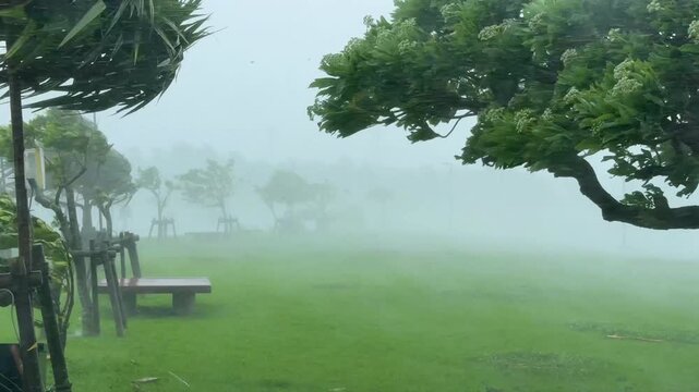 Violent Wind And Blinding Rain Sweep Across Island During Hurricane