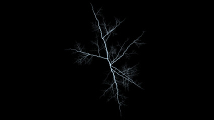 Fototapeta premium Dense tree-like branching lightning bolts on pure black background