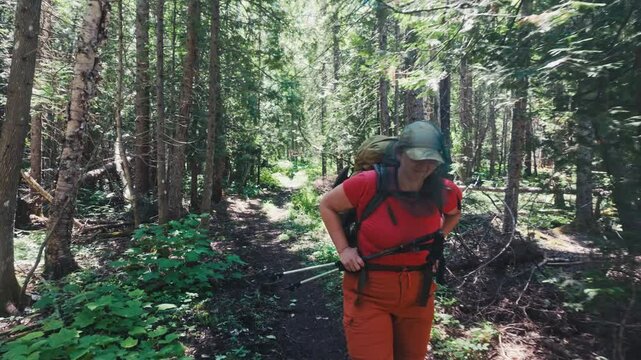 A woman hiking through a green forest wearing a bug net and carrying hiking sticks on a sunny day in the woods of Isle Royale National Park.