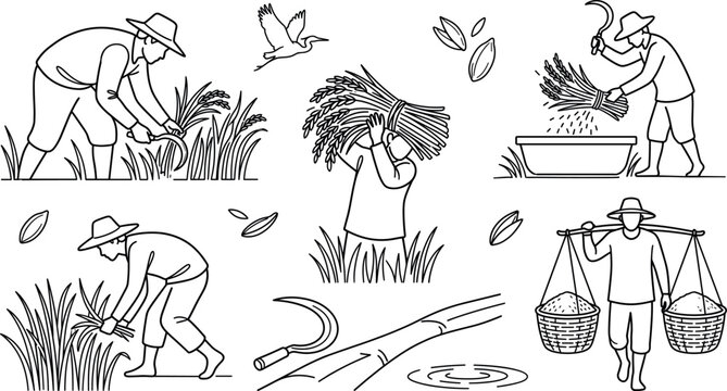 Traditional Asian rice harvest doodle vector elements set with farmers reaping stalks threshing crop carrying baskets and sickle