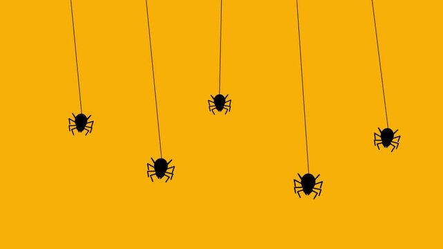 Black spiders hanging from silk threads on an orange background