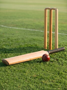 Professional Cricket Equipment on Green Field Grass with Stumps, Bat, and Ball