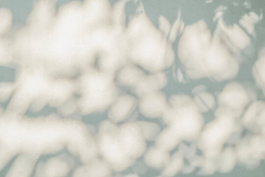 Abstract shadow and light blurred background with light bokeh. Natural gray shadows of leaves tree branch on white wall. Shadow overlay effect for foliage mockup, banner graphic layout