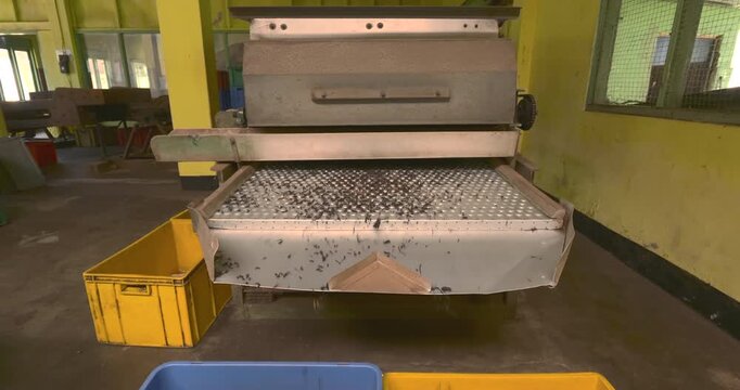 Industrial tea sieve sorts dried leaves across a raised perforated screen with loose fragments shifting toward separate exits and blue and yellow plastic collection bins positioned below