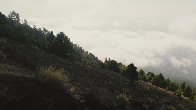 Misty low clouds rolling over rugged, forested slopes near Acatenango hike, with volcanic terrain, lush greenery, and dramatic morning light.