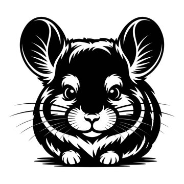 Charming chinchilla portrait features a detailed black silhouette illustration
