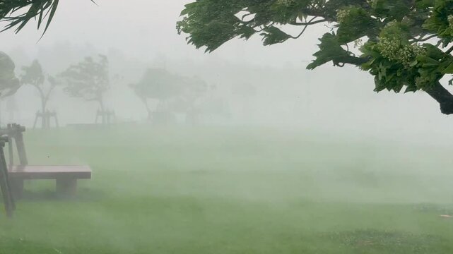 Powerful Winds Drive Torrential Rain Across Island During Hurricane Landfall