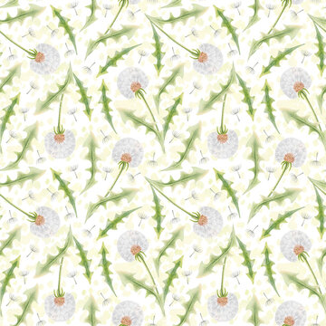 Seamless watercolor pattern with white dandelion seed heads, floating seeds and green leaves. Hand drawn pastel botanical illustration for textile, wrapping paper, stationery, packaging and wallpaper.