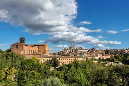 View of the Basilica di San Domenico and the historic skyline of Siena with the Duomo di Siena in the background, surrounded by lush trees under a blue sky in Siena, Tuscany, Italy.