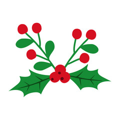 Obraz premium Decoración navideña. Ramas con hojas y bayas de muérdago o acebo para tarjetas y felicitaciones de Navidad